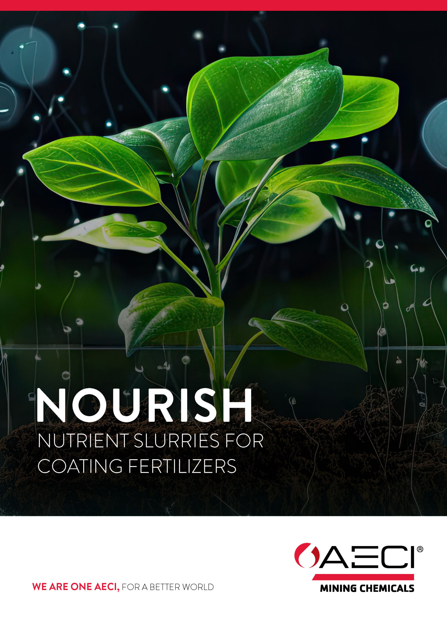 AECI MC NOURISH A4 Brochure 02 2024 Page 1
